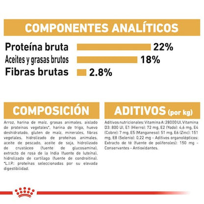 Royal Canin Dálmata Adulto 12 kg pienso en Gran Canaria Gabo y Gordo E Shop