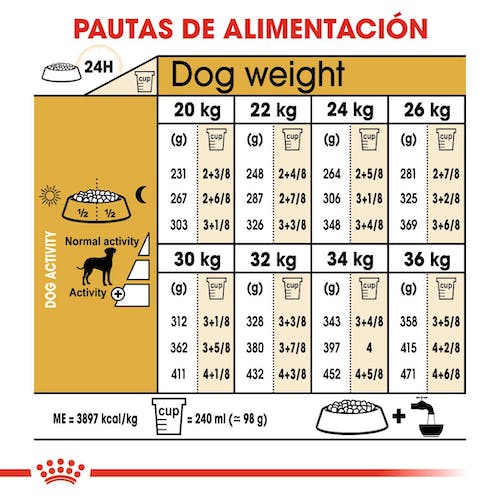 Royal Canin Dálmata Adulto 12 kg pienso en Gran Canaria Gabo y Gordo E Shop