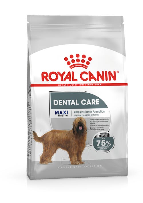 Royal Canin Dental Care pienso salud dental perros Gabo y Gordo E Shop