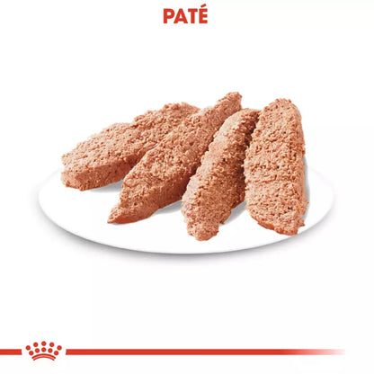 Royal Canin Dermacomfort paté 12x85g para perros piel sensible Gabo y Gordo E Shop Gran Canaria