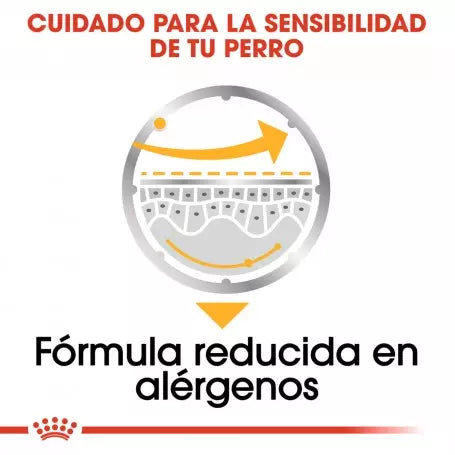 Royal Canin Dermacomfort paté 12x85g para perros piel sensible Gabo y Gordo E Shop Gran Canaria