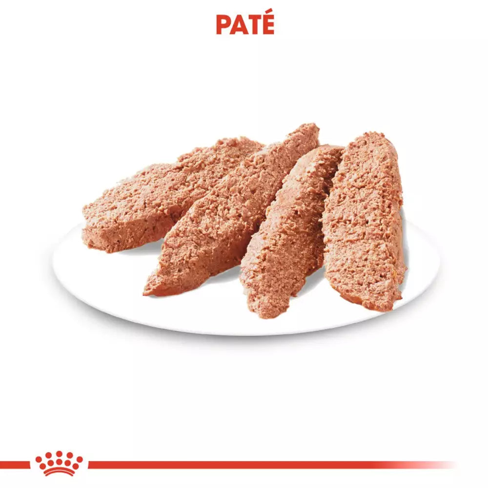 Royal Canin Digestive Care paté perro adulto sensibilidad digestiva Gabo y Gordo E Shop Gran Canaria