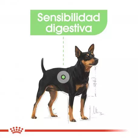 Royal Canin Digestive Care paté perro adulto sensibilidad digestiva Gabo y Gordo E Shop Gran Canaria