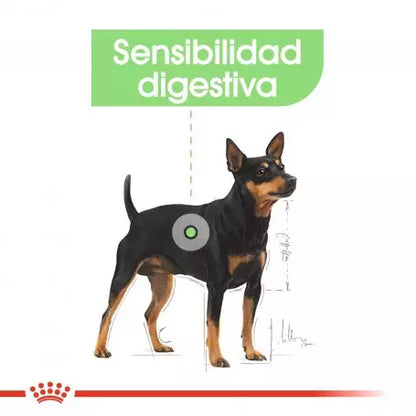 Royal Canin Digestive Care paté perro adulto sensibilidad digestiva Gabo y Gordo E Shop Gran Canaria