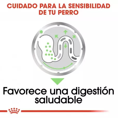 Royal Canin Digestive Care paté perro adulto sensibilidad digestiva Gabo y Gordo E Shop Gran Canaria