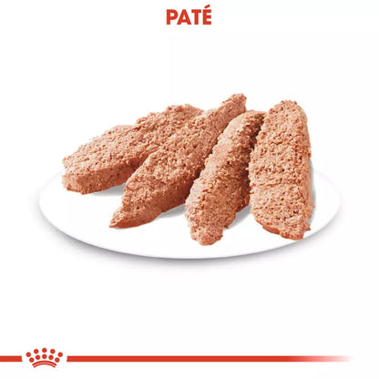 Royal Canin Exigent Loaf 12x85g comida húmeda para perros exigentes Gabo y Gordo E Shop Gran Canaria