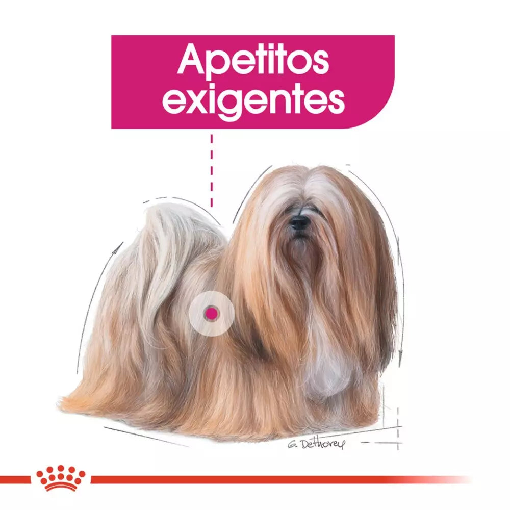 Royal Canin Exigent Loaf 12x85g comida húmeda para perros exigentes Gabo y Gordo E Shop Gran Canaria