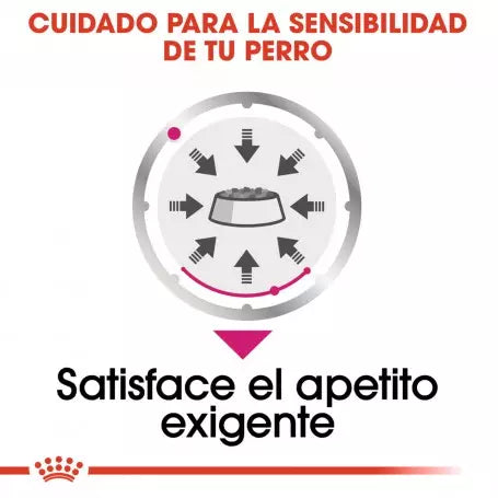 Royal Canin Exigent Loaf 12x85g comida húmeda para perros exigentes Gabo y Gordo E Shop Gran Canaria