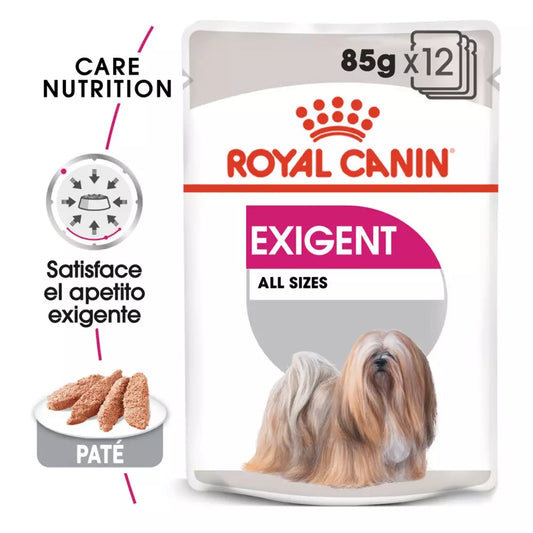 ROYAL CANIN CARE EXIGENT  85 g Gabo&Gordo Pet Shop en Las Palmas de Gran Canaria tienda para mascotas, perros, gatos, conejos, tortugas, animales