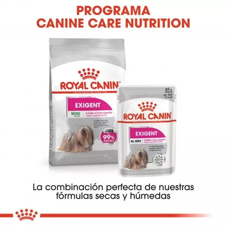ROYAL CANIN CARE EXIGENT  85 g Gabo y Gordo E Shop, la mejor tienda online en las Islas Canarias, España, tienda online para mascotas, perros, gatos, conejos, tortugas, animales, accesorios para mascotas en general. 
Gabo y Gordo E Shop in Canary Islands, the best store for pets, dogs, cats, rabbits, turtles, animals, pet accessories.