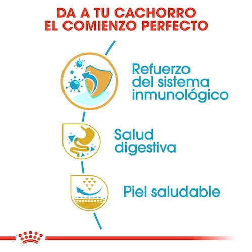 Royal Canin French Bulldog Puppy pienso cachorro bulldog francés Gabo y Gordo E Shop
