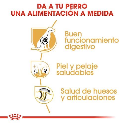 Royal Canin German Shepherd Adult 11 kg pienso para Pastor Alemán en Gran Canaria