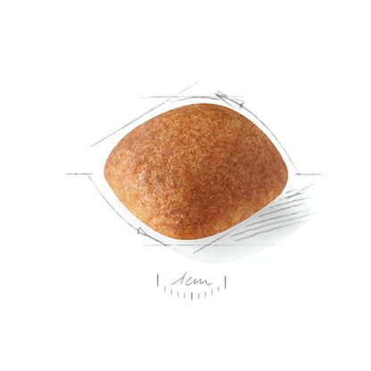 Royal Canin Golden Retriever Adult 12 kg pienso en Gran Canaria Gabo y Gordo E Shop