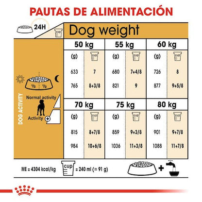 Royal Canin Gran Danés Adulto 12 kg pienso raza gigante en Gran Canaria Gabo y Gordo E Shop