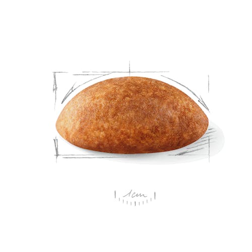Royal Canin Gran Danés Adulto 12 kg pienso raza gigante en Gran Canaria Gabo y Gordo E Shop