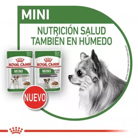 ROYAL CANIN Mini Adult Pouch 85 g x 12 UNIDADES Gabo&Gordo Pet Shop en Las Palmas de Gran Canaria tienda para mascotas, perros, gatos, conejos, tortugas, animales