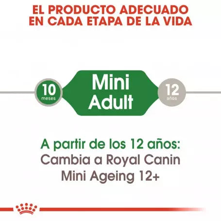 ROYAL CANIN Mini Adult Pouch 85 g x 12 UNIDADES Gabo&Gordo Pet Shop en Las Palmas de Gran Canaria tienda para mascotas, perros, gatos, conejos, tortugas, animales