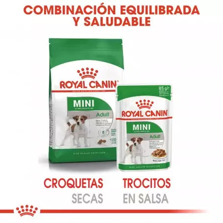 ROYAL CANIN Mini Adult Pouch 85 g x 12 UNIDADES Gabo&Gordo Pet Shop en Las Palmas de Gran Canaria tienda para mascotas, perros, gatos, conejos, tortugas, animales