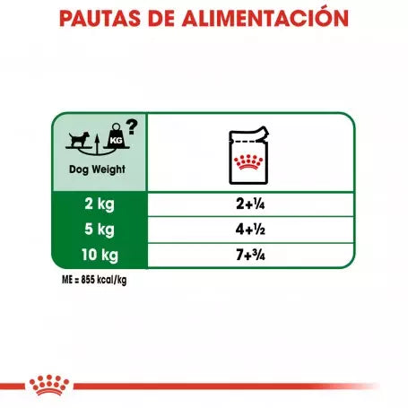 ROYAL CANIN Mini Adult Pouch 85 g x 12 UNIDADES Gabo&Gordo Pet Shop en Las Palmas de Gran Canaria tienda para mascotas, perros, gatos, conejos, tortugas, animales