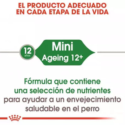 ROYAL CANIN Mini Ageing Pouch 85 g x 12 UNIDADES Gabo y Gordo E Shop, la mejor tienda online en las Islas Canarias, España, tienda online para mascotas, perros, gatos, conejos, tortugas, animales, accesorios para mascotas en general. 
Gabo y Gordo E Shop in Canary Islands, the best store for pets, dogs, cats, rabbits, turtles, animals, pet accessories.