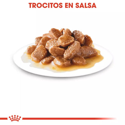 ROYAL CANIN Mini Ageing Pouch 85 g x 12 UNIDADES Gabo y Gordo E Shop, la mejor tienda online en las Islas Canarias, España, tienda online para mascotas, perros, gatos, conejos, tortugas, animales, accesorios para mascotas en general. 
Gabo y Gordo E Shop in Canary Islands, the best store for pets, dogs, cats, rabbits, turtles, animals, pet accessories.