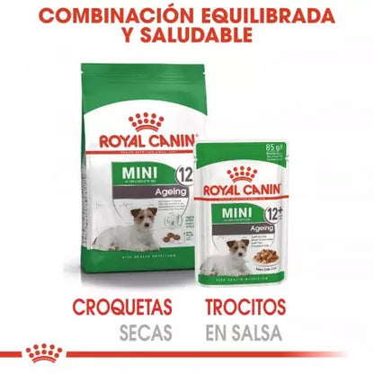ROYAL CANIN Mini Ageing Pouch 85 g x 12 UNIDADES Gabo y Gordo E Shop, la mejor tienda online en las Islas Canarias, España, tienda online para mascotas, perros, gatos, conejos, tortugas, animales, accesorios para mascotas en general. 
Gabo y Gordo E Shop in Canary Islands, the best store for pets, dogs, cats, rabbits, turtles, animals, pet accessories.