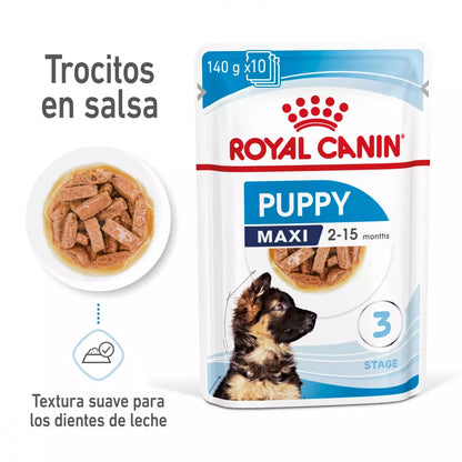 ROYAL CANIN MAXI PUPPY POUCH 10 X 140 g Gabo y Gordo E Shop, la mejor tienda online en Gran Canaria, las Islas Canarias, España, tienda online para mascotas, perros, gatos, conejos, tortugas, animales, accesorios para mascotas en general. 
Gabo y Gordo E Shop in Gran Canaria, Canary Islands, the best store for pets, dogs, cats, rabbits, turtles, animals, pet accessories.