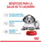 Caja Completa 10 x Sobres 140 g Gabo&Gordo Pet Shop en Las Palmas de Gran Canaria tienda para mascotas, perros, gatos, conejos, tortugas, animales