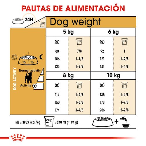Royal Canin Jack Russell Adult pienso perro pequeño en Gran Canaria Gabo y Gordo E Shop