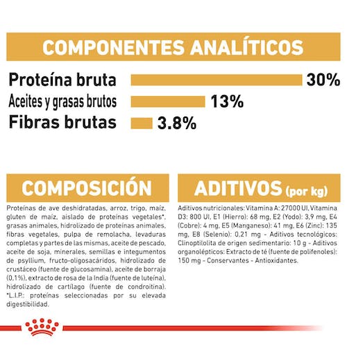 Royal Canin Labrador Retriever Adult pienso en Gran Canaria Gabo y Gordo E Shop
