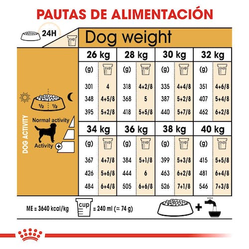 Royal Canin Labrador Retriever Adult pienso en Gran Canaria Gabo y Gordo E Shop