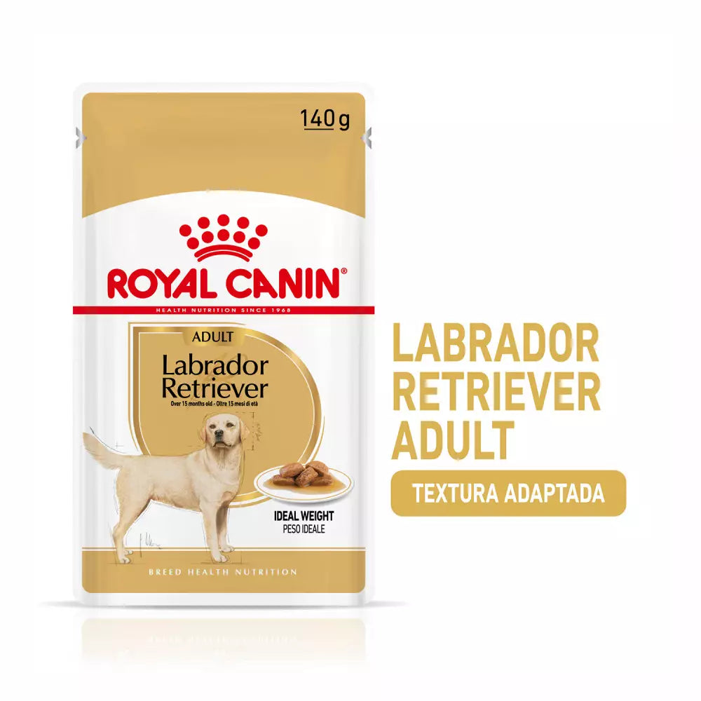 Royal Canin Labrador alimento húmedo pack 10x140g en Gran Canaria Gabo y Gordo E Shop