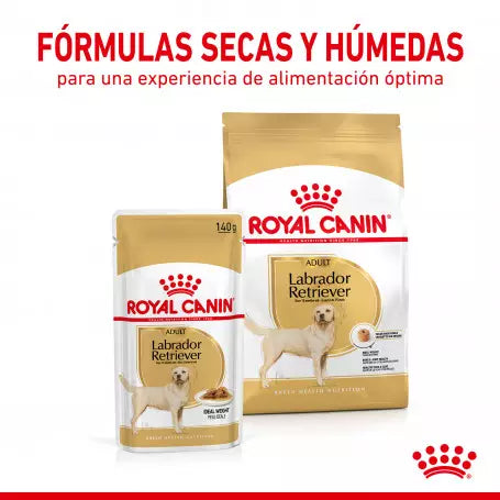 Royal Canin Labrador alimento húmedo pack 10x140g en Gran Canaria Gabo y Gordo E Shop