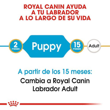 Royal Canin Labrador Retriever Puppy pienso cachorro en Gran Canaria Gabo y Gordo E Shop