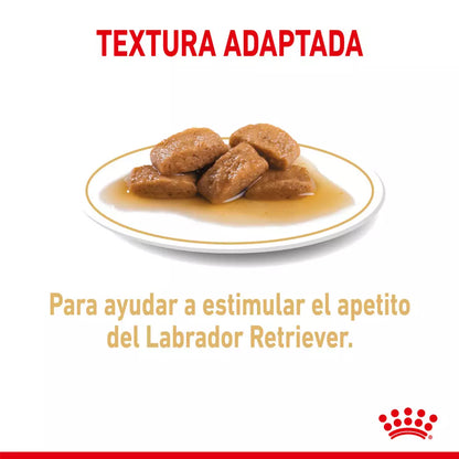 ROYAL CANIN LABRADOR HÚMEDO 10 x 140 g Gabo y Gordo E Shop, la mejor tienda online en Gran Canaria, Islas Canarias, España, tienda online para mascotas, perros, gatos, conejos, tortugas, animales, accesorios para mascotas en general. 
Gabo y Gordo E Shop is the best online pet shop in Gran Canaria, Canary Islands, Spain.