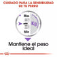 ROYAL CANIN STERILISED Care  12 X 85 g Gabo y Gordo E Shop, la mejor tienda online en las Islas Canarias, España, tienda online para mascotas, perros, gatos, conejos, tortugas, animales, accesorios para mascotas en general. 
Gabo y Gordo E Shop in Canary Islands, the best store for pets, dogs, cats, rabbits, turtles, animals, pet accessories.