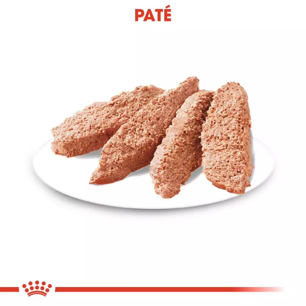 Royal Canin Light Weight Care paté perros control peso 12x85g Gabo y Gordo E Shop