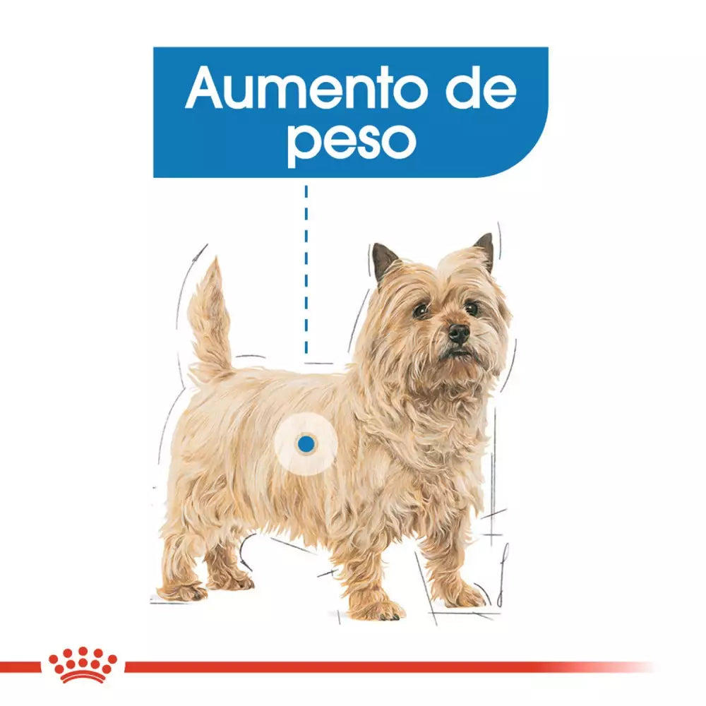 Royal Canin Light Weight Care paté perros control peso 12x85g Gabo y Gordo E Shop