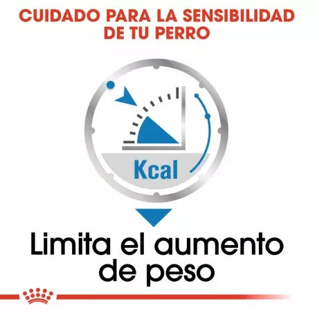Royal Canin Light Weight Care paté perros control peso 12x85g Gabo y Gordo E Shop