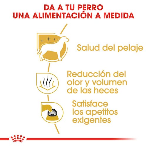 ROYAL CANIN Maltese Adult pienso para perro Bichón Maltés adulto con cuidado del pelaje