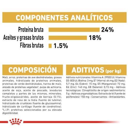 ROYAL CANIN Maltese Adult pienso para perro Bichón Maltés adulto con cuidado del pelaje