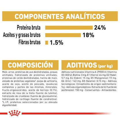 ROYAL CANIN Maltese Adult pienso para perro Bichón Maltés adulto con cuidado del pelaje