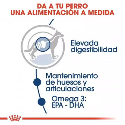 ROYAL CANIN Maxi Adult en salsa – comida húmeda para perros grandes adultos