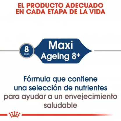 ROYAL CANIN Maxi Ageing 8+ en salsa para perros grandes sénior – 10x140g