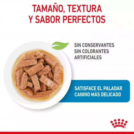 Royal Canin Maxi Puppy pouch 10x140g comida húmeda cachorro raza grande Gabo y Gordo E Shop Gran Canaria