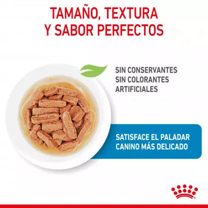 Royal Canin Medium Puppy pouch 10x140g comida húmeda cachorro raza mediana Gabo y Gordo E Shop Gran Canaria