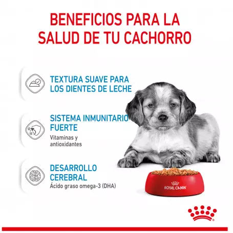 Royal Canin Medium Puppy pouch 10x140g comida húmeda cachorro raza mediana Gabo y Gordo E Shop Gran Canaria