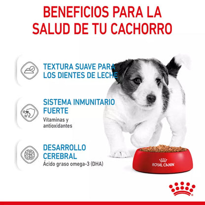 Royal Canin Mini Puppy pouch 12x85g comida húmeda cachorro raza pequeña Gabo y Gordo E Shop Gran Canaria