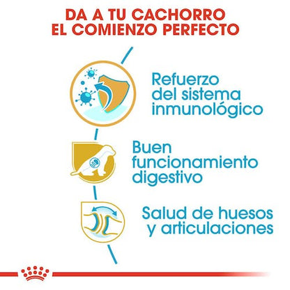Royal Canin Pastor Alemán Puppy pienso cachorro raza grande en Gran Canaria Gabo y Gordo E Shop