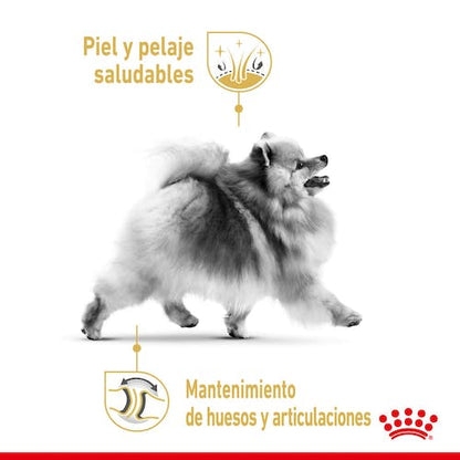 Royal Canin Pomeranian Adult 3 kg pienso perro pequeño en Gran Canaria Gabo y Gordo E Shop